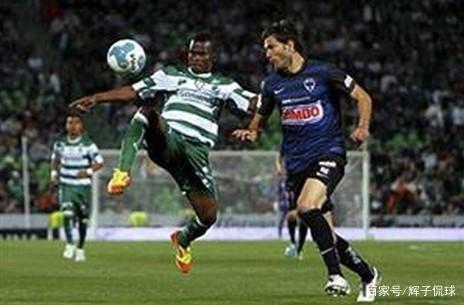 牛错过赛季 牛错过赛季