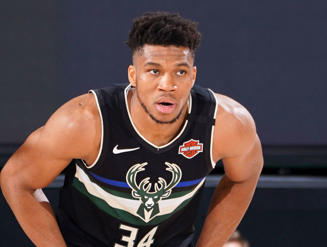 引进入籍球 引进入籍球